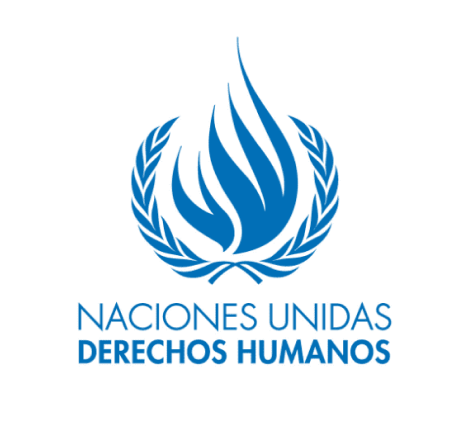 ONU Derechos Humanos